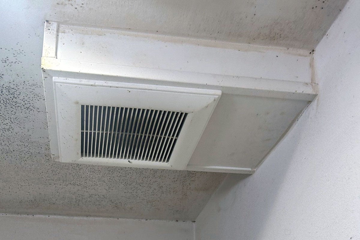 Mold growth on bathroom ceiling vent.