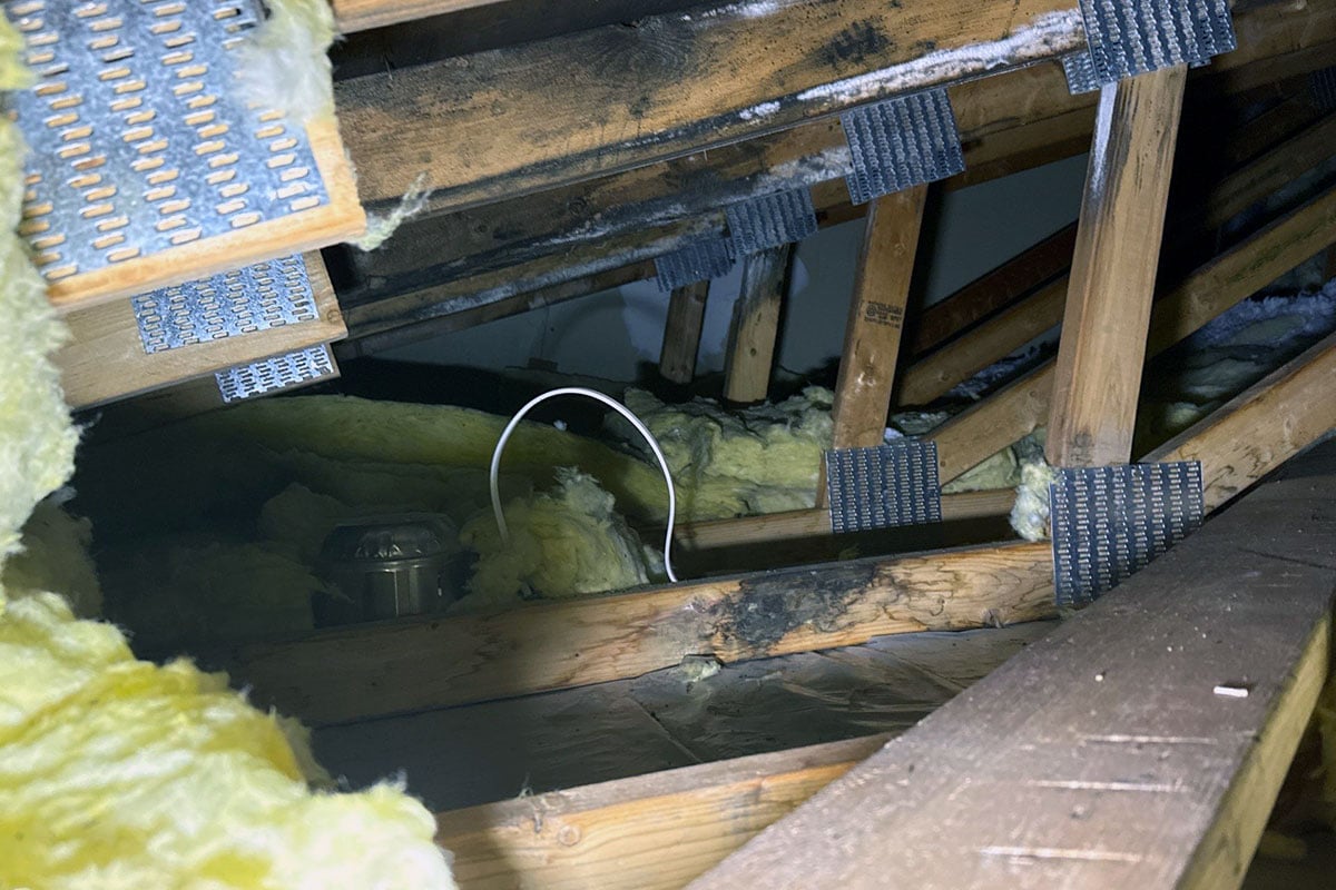 Mold growth on wood beams in attic.