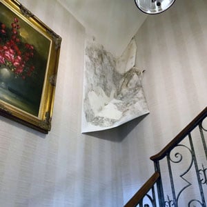 Mold behind wallpaper