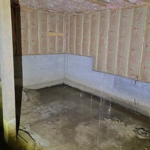 Crawl space flooding under log cabin before restoration and mitigation services 