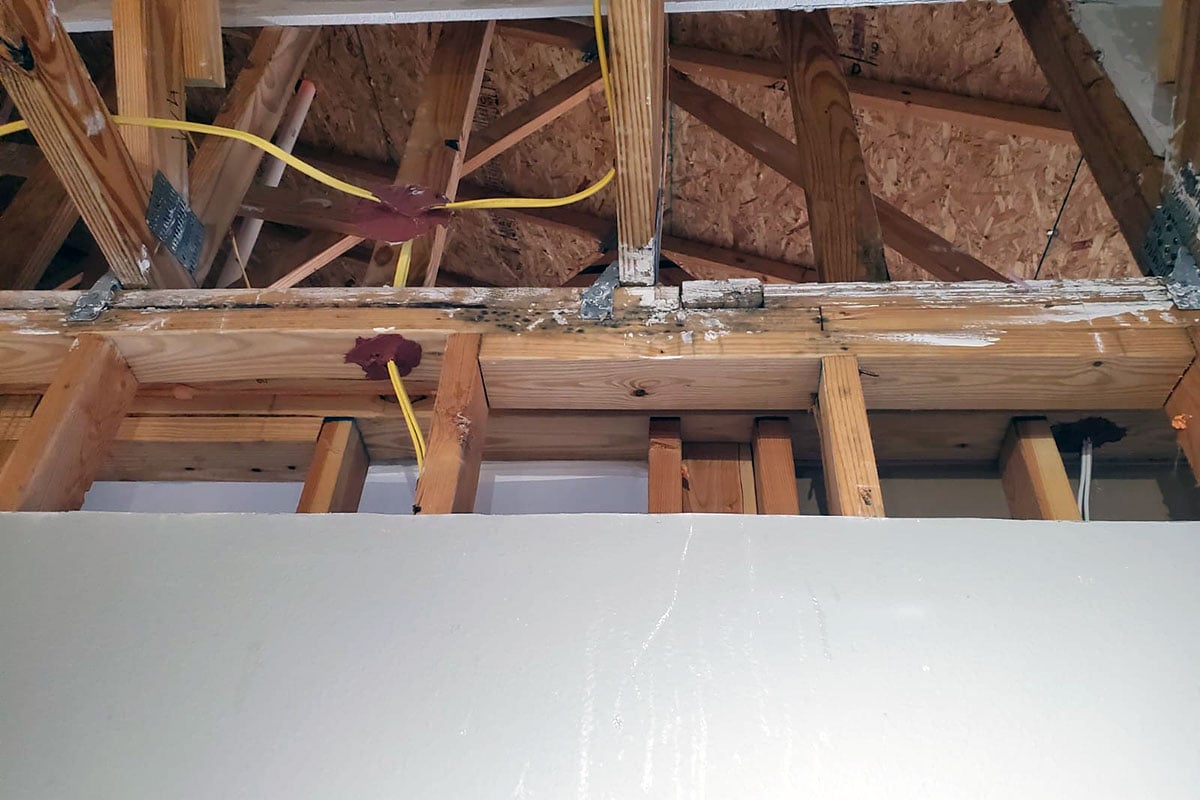 Mold on rafters.