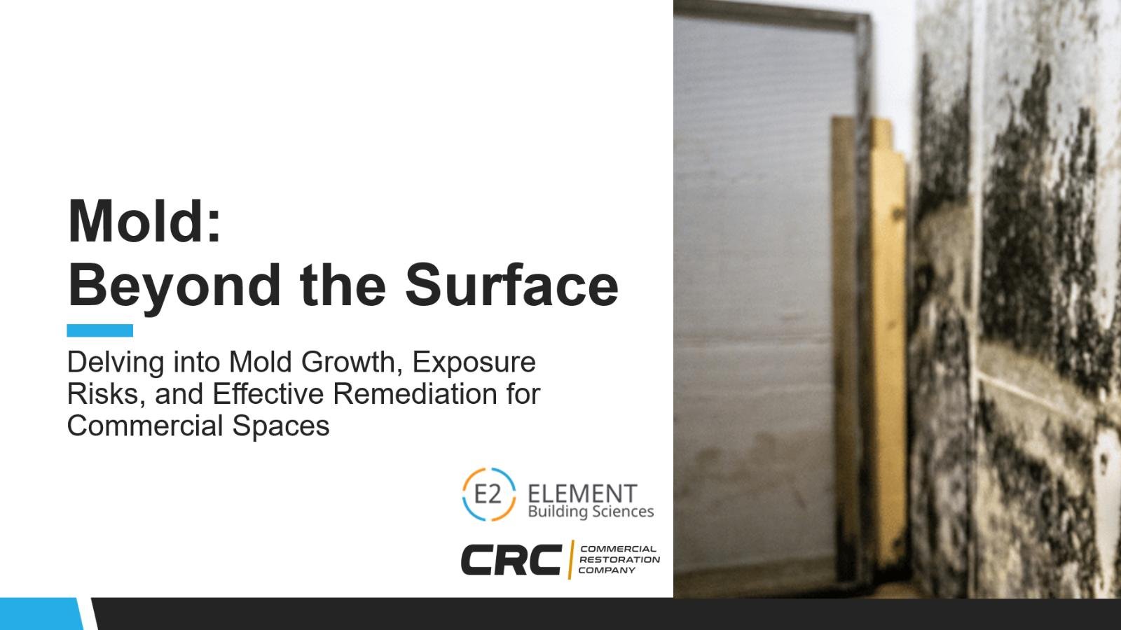 Mold beyond the surface