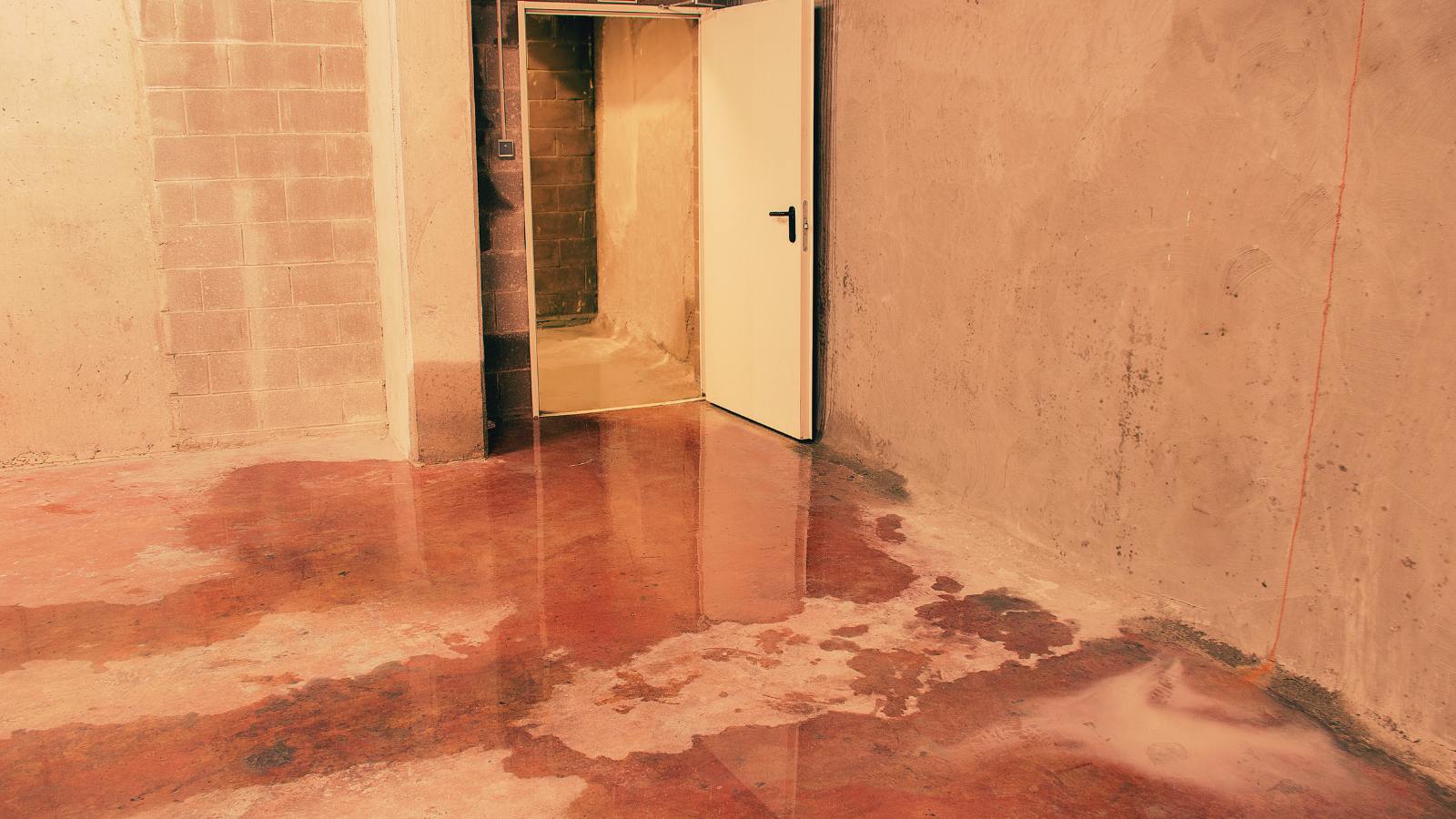 Managing Basement Flooding: Tips for Property Managers