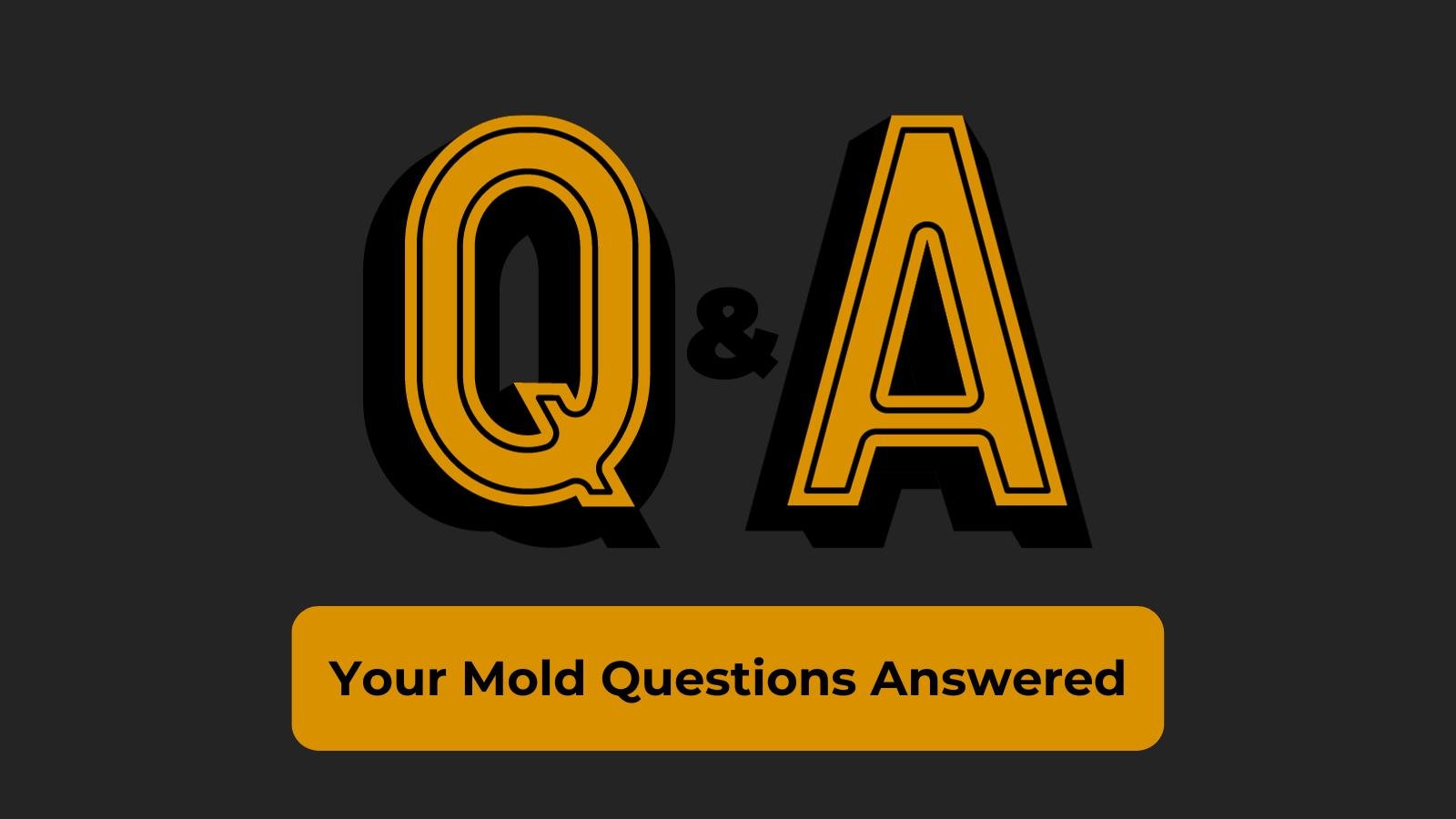 Expert Q&A session about mold