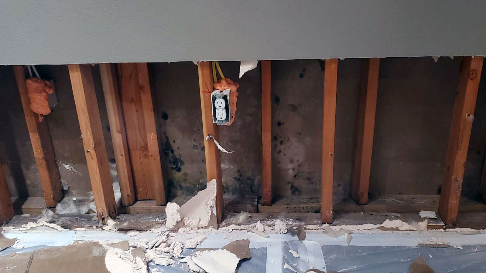 Multifamily Property in Texas Restored After Mold Nightmare